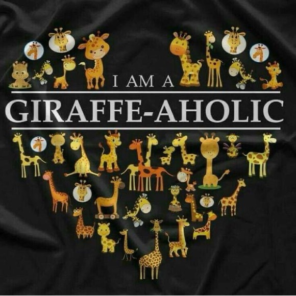 Meet your Posher, Dawn - Picture 11 of 12